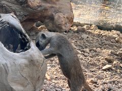 -水上乐园·欢乐世界