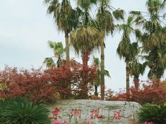 -东湖生态旅游风景区