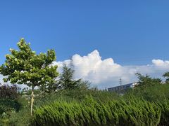 -农家铁锅炖(太阳沟店)