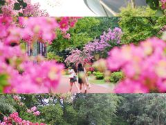 -杭州城北体育公园