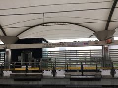 -外高桥保税区南(地铁站)