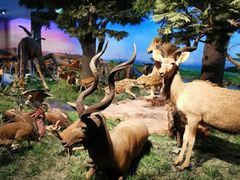 -国家自然博物馆