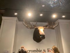 -Abercrombie&Fitch(德基广场店)