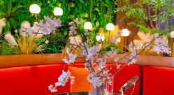 -花隐·美芙炫海菲秀皮肤管理中心