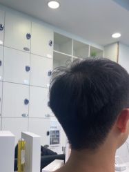 -YESIDO椰岛造型