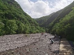 -双龙峡