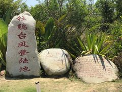 -广东惠东海龟国家级自然保护区