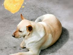 -Cactus墨西哥仙人掌餐厅