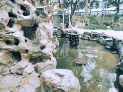 -叶家花园
