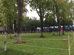 -重庆市江北嘴中央商务区中央公园