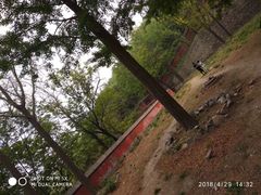 -阳台山自然风景区