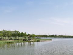 -西青郊野公园