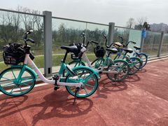 -白鹭湾湿地公园