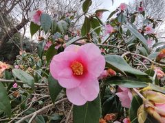 -杭州西湖风景名胜区-钱祠表忠