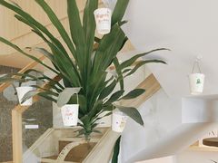 -川岛屋·KAWASIMAYA·咖啡简餐