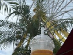 -麦当劳(海洋公园店)