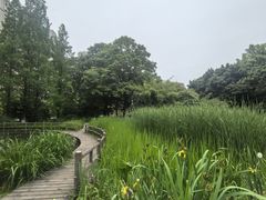 -成都市活水公园