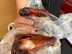 -福鼎褚翅