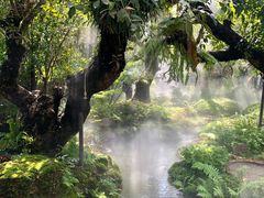 -Chom Cafe and Restaurant