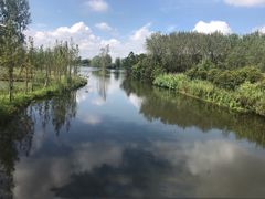 -溱湖国家湿地公园