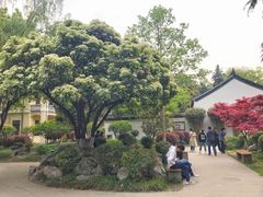 -南京中国近代史遗址博物馆(南京总统府)