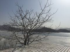 望湖烤鱼-望湖烤鱼