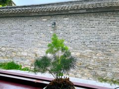 -戏马台景区