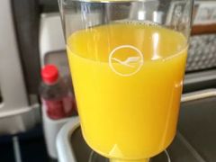 -德国汉莎航空公司