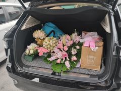 -上海龙之梦万丽酒店