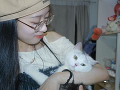 -楼上猫咖(罗湖店)