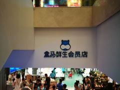 -盒马鲜生(大成店)