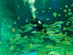 -北戴河圣蓝海洋公园