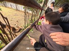 -合肥野生动物园