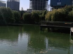 -黄村公园