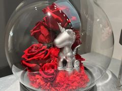 -ROSEONLY诺誓(广州K11店)