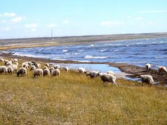 -青海湖国家重点风景名胜区