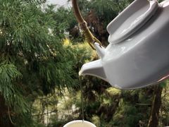 -黄山温泉国际旅游度假区
