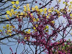 -杭州师范大学(下沙校区)