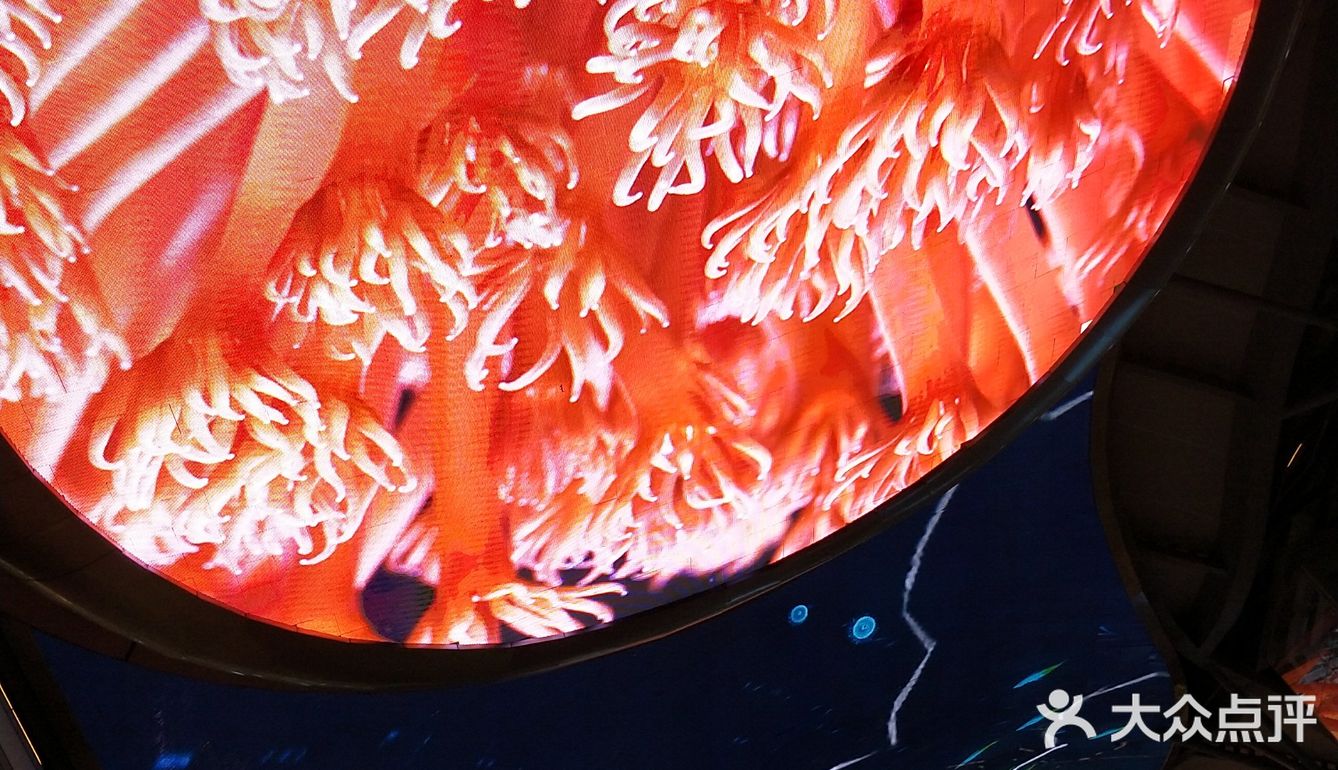 美食、商场,茶饮都有,最重要的是,徜徉在银河里