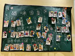 -藏猫猫咖啡主题馆(中央大道店)