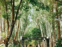 -艾提尕尔清真寺