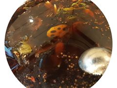 香辣红油耗儿鱼-川道拐耗儿鱼(旗舰店)