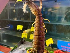 -辉记炭烧海鲜大排档·老字号(福田店)