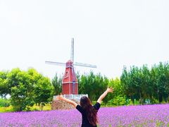 -渔岛海洋度假区