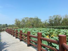 -长兴太湖图影湿地文化园