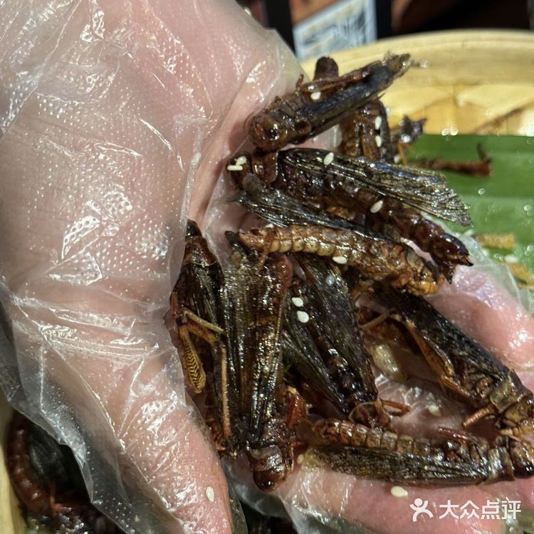 西双十二寨・烟火集 | 13 个民族的舌尖迁