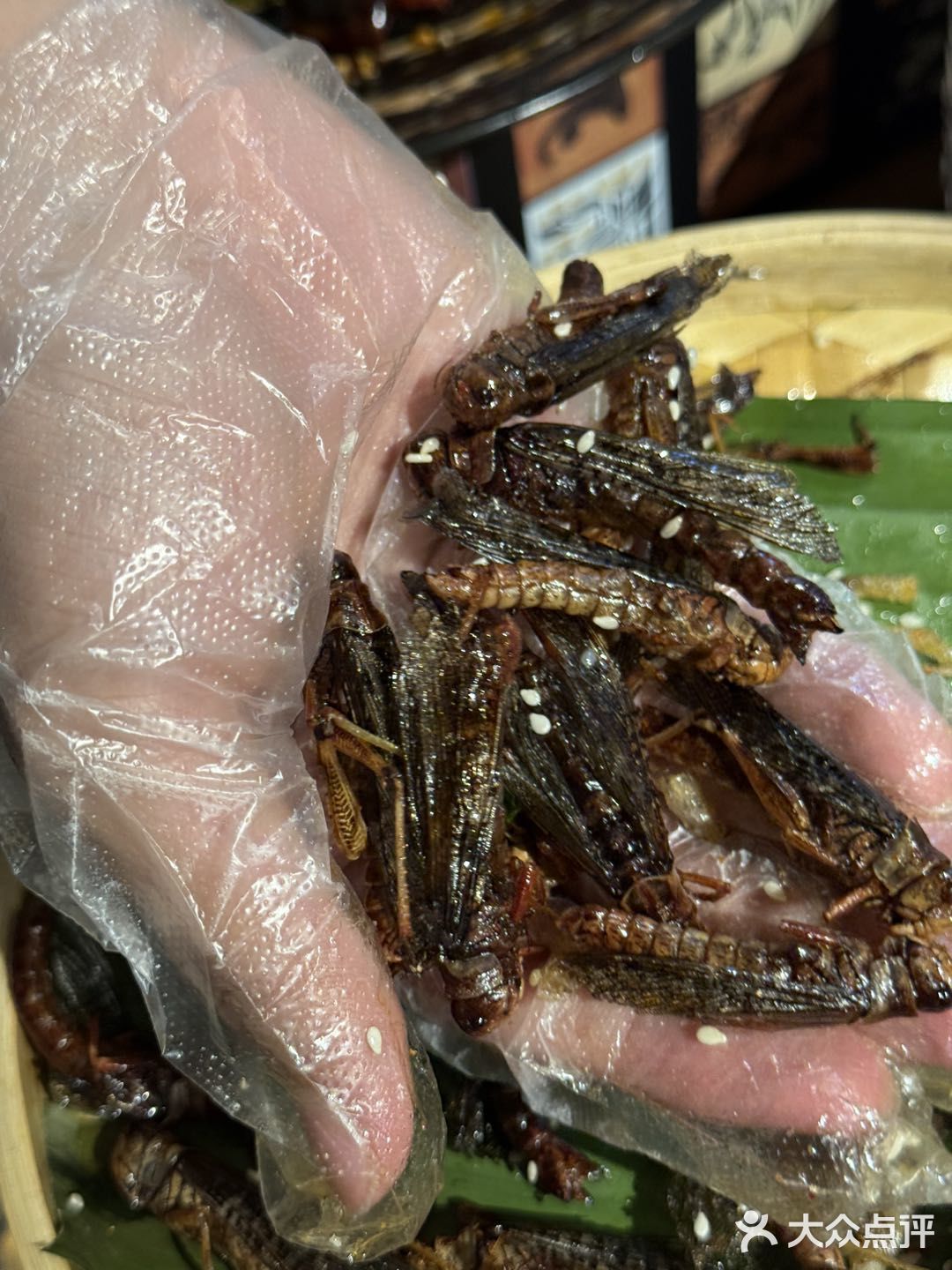 西双十二寨・烟火集 | 13 个民族的舌尖迁