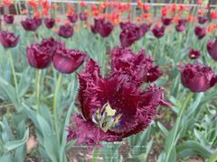 -长春公园(普阳街道)