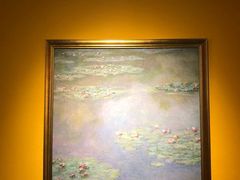 -印象莫奈时光映迹艺术展