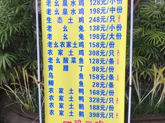 -老幺泉水鸡